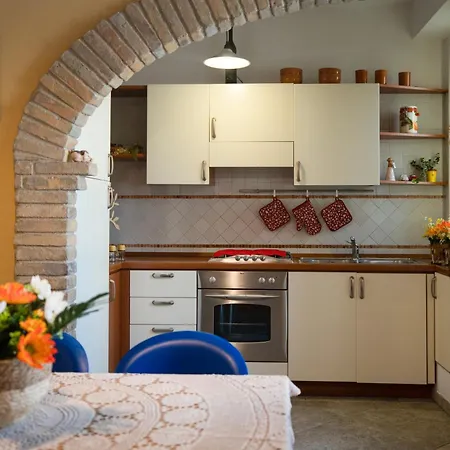 L'apostolo E Il Navarca *