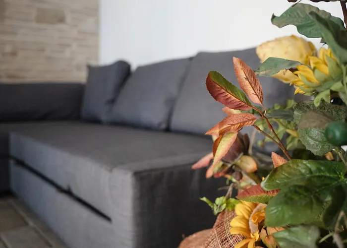 L'apostolo E Il Navarca